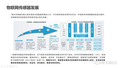 IT互聯網科技沙龍第二期圓滿落幕，聚焦網絡信息技術前沿動態